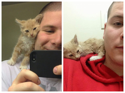 ����è����Ѱ�١��м������ˡ��������Ų���