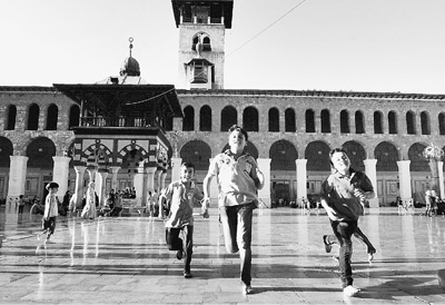 ���������뷴���ɼӽ��������δ���Դ����