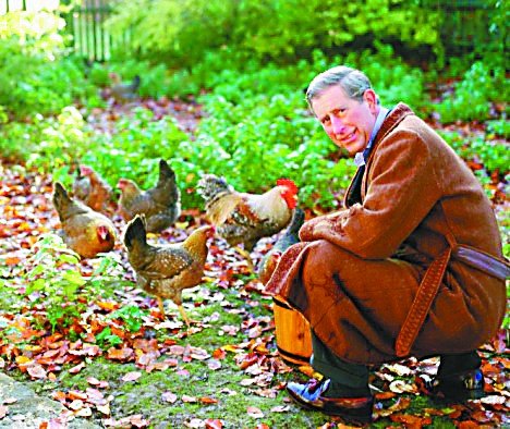 Ӣ����70�����ڼ�����Ӣ��������ι��Ϊ�֣�ͼ��