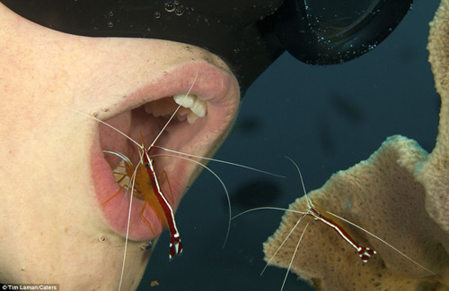 �����к�ģ������Ǳ��ˮ����¶����Ϻ������ͼ��