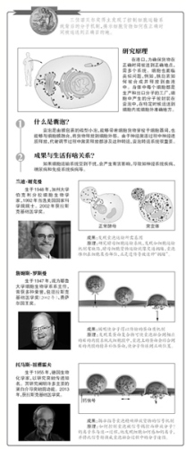 �ƽ�ϸ�������������˷���ŵ��3�˷�120����Ԫ