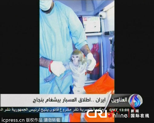 ���ʼƻ������µ�֮ǰ�͵ڶ�ֻ���̫�գ�ͼ��