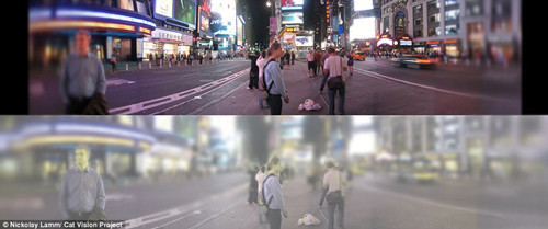 è�ƶ��￴�������磺��ģ��������ů����ͼ��