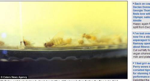 ��������!Ӣ��һƿװơ���ھ�����50ֻ��Ӭ��ͼ��