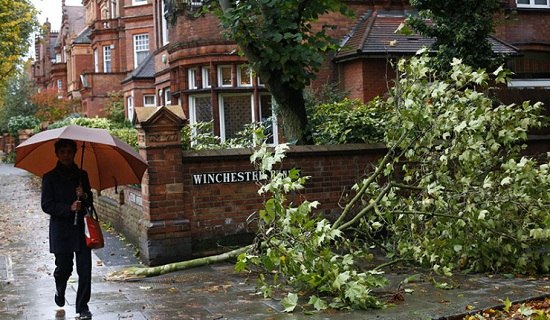 ŷ�޶����ǿ쫷�Ϯ���ѹ���13�����ѣ�ͼ��