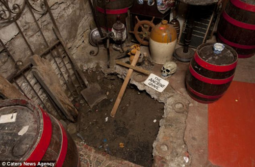 Ӣ�������ݡ��ŵù˿���������ÿ��25Ӣ����ͼ��