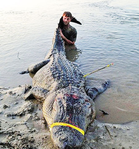 为防止鳄鱼死而复生咬人,用胶带绑住鳄鱼的嘴是最安全的办法