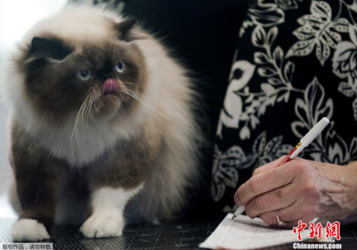 Ϥ���ѧ�о�è������ء�˽���