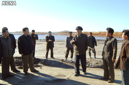 �����ڸ������������γ�ָʾ�ƽ���������ͼ��