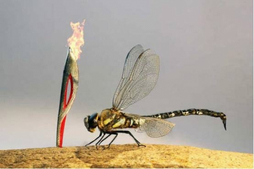 ������������������С���߶Ȳ�����4���ף�ͼ��