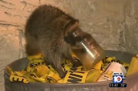 ̰������Դ���������ƿȱ���ε��һ�ȣ�ͼ��