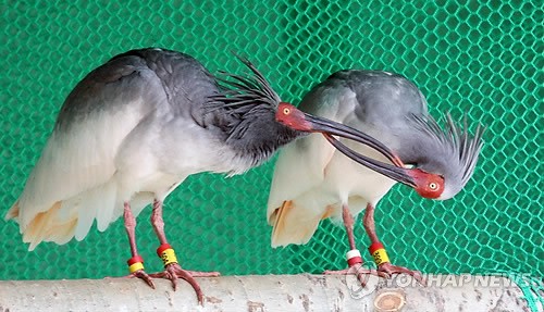 ��ý���й���ֻ�������q���ں������������ӣ�ͼ��