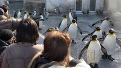 ��������ɽ����԰��ʼ������Ӫ���԰������