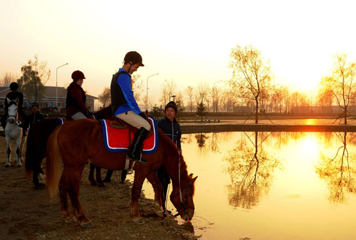 朝鲜美林骑马俱乐部向普通劳动者敞开大门(组图)