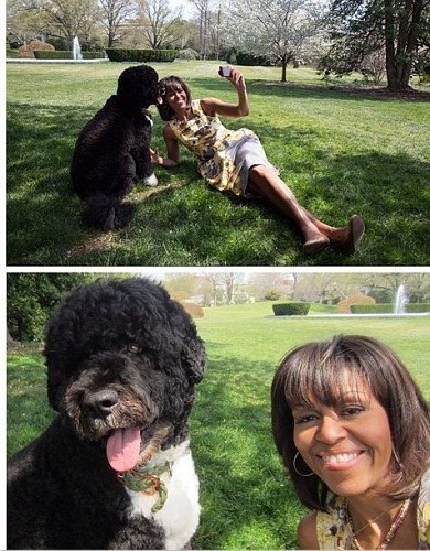 ţ���ֵ�ѡ��2013��ȷ����֡����ġ��Ӱ���