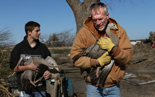 �������ش��������о���Ҫ������루��ͼ����6��