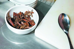 昆虫菜登陆法高级餐厅肥鹅肝酱饼搭配蟋蟀(图)(3)