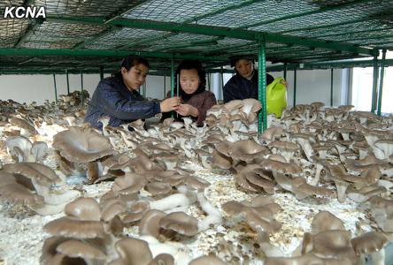 �����߹�����վ�����Ƚ���������Ģ��������ͼ��