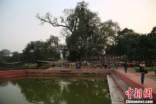 ���浮���أ��Ჴ���ػ��ġ���ʵ��˵��