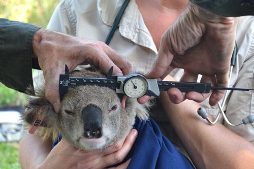 ��ѧ�ҳ����Կ���������������ɷ�������