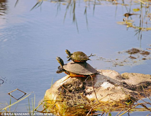 ĸ���Թ걦��ѧ��Ӿ������ܰ�������ȣ���ͼ����3��