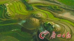 Ӣ������ʯ������Ʒ�������Ѿ��۽�����ͼ��