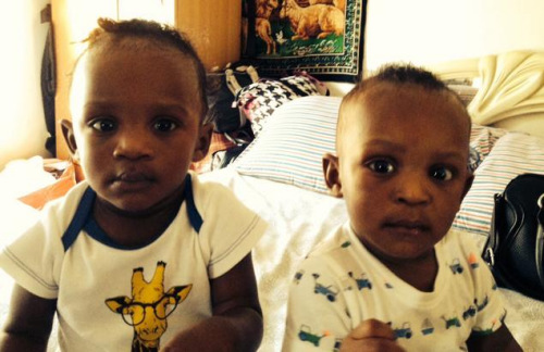 11���´�˫��̥��������������¥�׽ӻ�ȣ�ͼ��