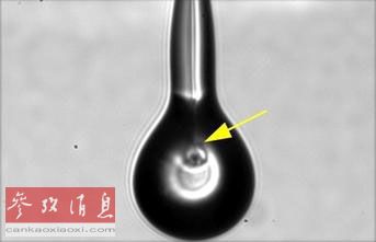 法新社:科学家喷墨“打印”出眼睛细胞(图)