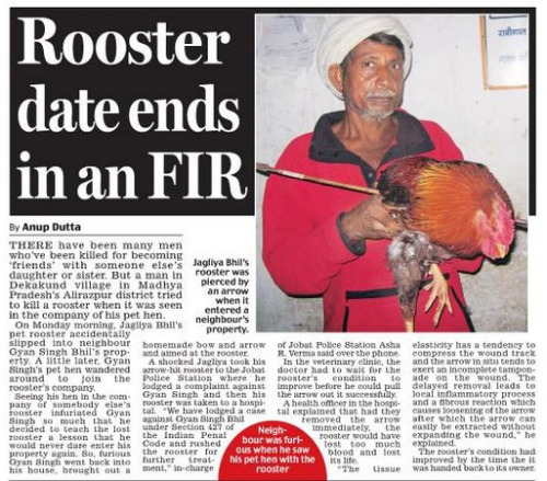 ӡ�ȴ󹫼����ڼ�ĸ�������ھӹ����䴩��ͼ��