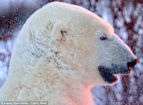 �����ȡ�������ˮ���γ����Ʊ�����ͷ����ͼ����2��