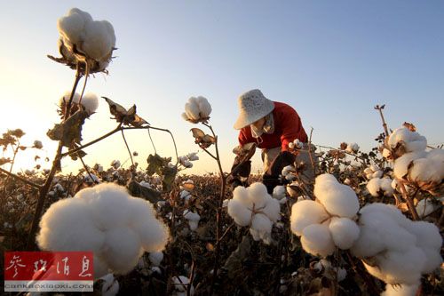 ��ý���й��޻���������2005�������