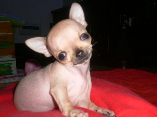 �������³�����������͵͵���������𳵻���ͼ��