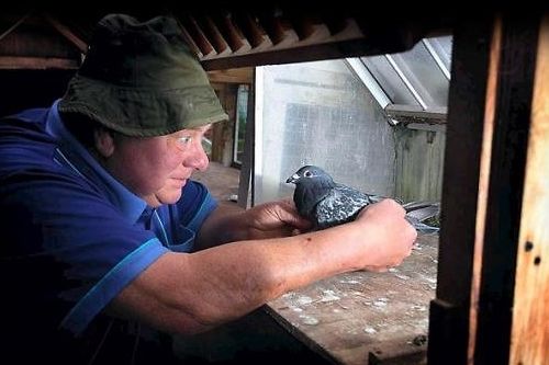 �������ʧ�����Լ����ؼ����ѳ�̫���ˣ�ͼ��