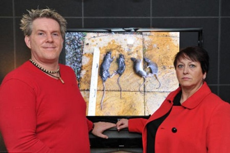 Ӣ������Ƴ����¡��������󡱲���һ������ҩ