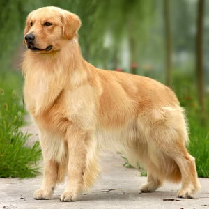 ī������ÿ��Ϊ�����̫�ꡱ�������