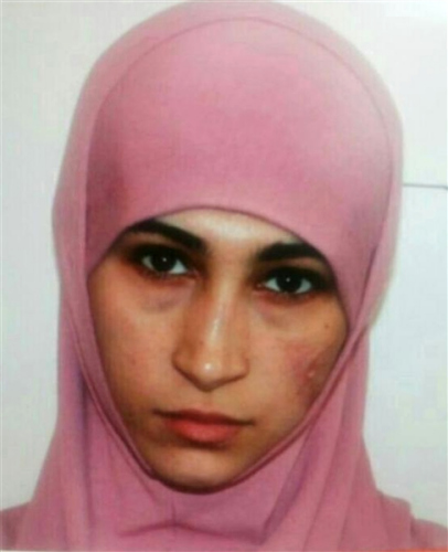 ������׷��ڹѸ��ֲ��ӷ�������Ǳ��������ͼ��