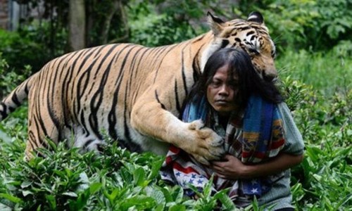 ӡ���������ϻ��������ϻ���������������ͼ��