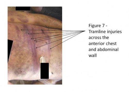 ������������������¾���̳���Ƭϵ��٣�ͼ��