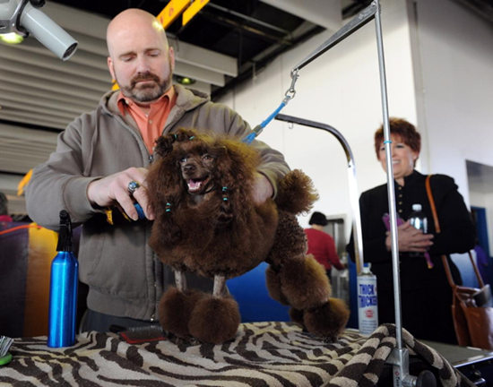 �����������������Ļ����Ȯ���ַ�������ͼ��