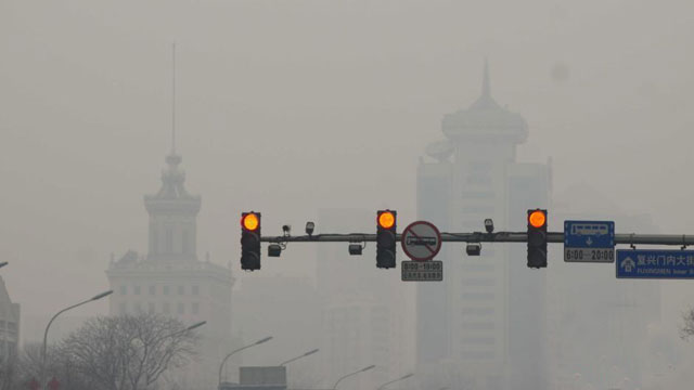 �����鲼�߷�֮һ�й�������ý�ơ�����ĩ�ա�