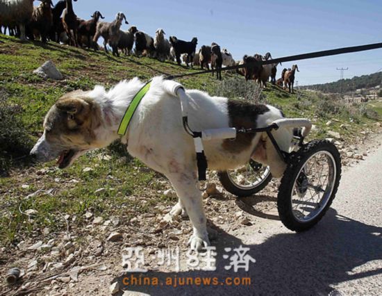 ����Ȯ̱����װ�������԰��˷����ж����ѣ�ͼ��