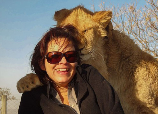 南非一雌狮主动上前与女游客“勾肩搭背”秀亲热