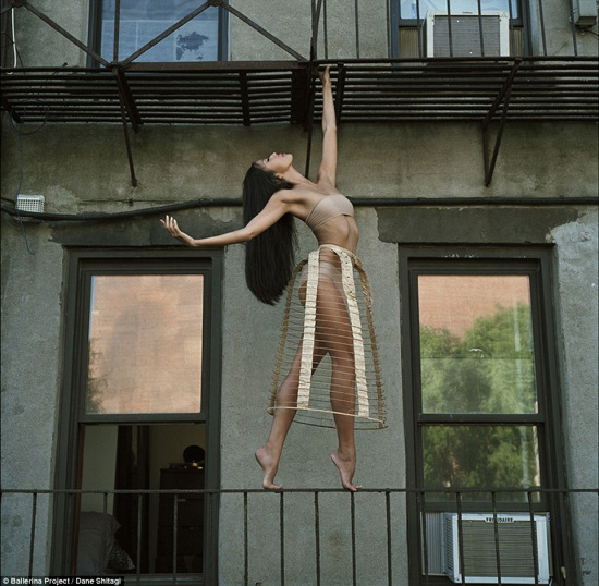 ��Ӱʦ���������������ɭ�ֵ�����ؿ��裨ͼ��