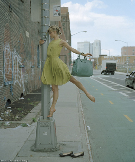 ��Ӱʦ���������������ɭ�ֵ�����ؿ��裨ͼ����2��