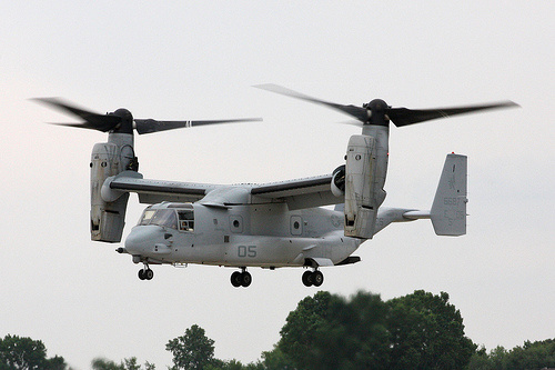 פ��������ӥ�����������ɢ��ս����Աѵ��