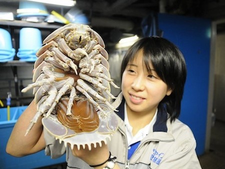 �ձ�ˮ������춯��չ���������ǳ����ࣨͼ����3��