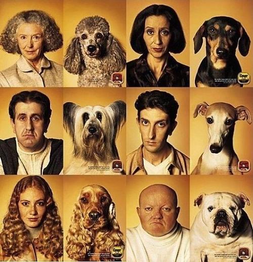 �����������˳��ྪ���������ѳƲ���ѧ��ͼ��