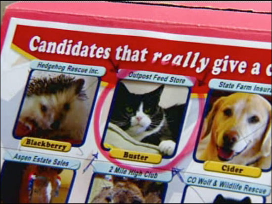 ������11ֻС���ﾺѡ�г�Ϊ��������ͼ��