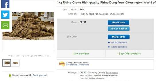 Ӣ�����⹫԰�������������Բ�Ϭţ���