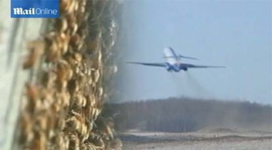 美国1架航班起飞后遭遇蜂群干扰被迫紧急着陆